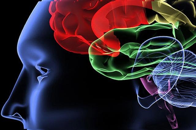Fumiko Hoeft will be speaking at Tufts Cognitive and Brain Science Community
